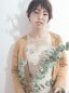 anmaniモデル